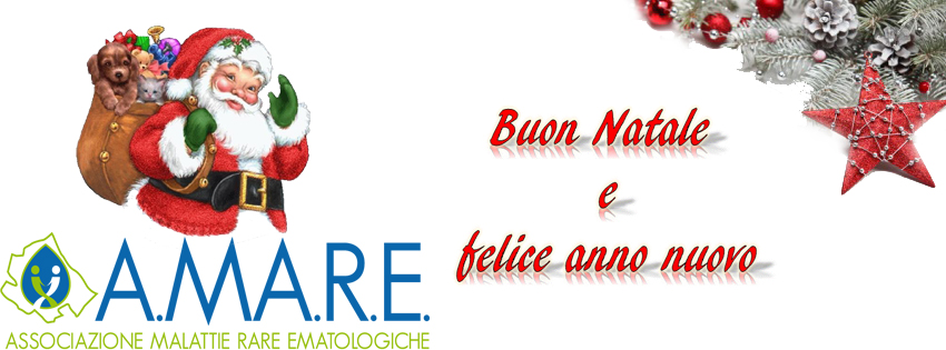 Auguri di Buon Natale e felice anno nuovo